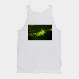 Dawn redwood foliage (C001/1538) Tank Top